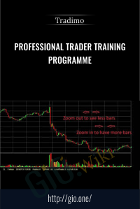 Professional Trader Training Programme  – Tradimo