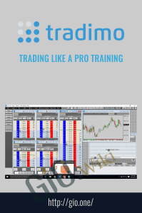 Trading Like a Pro Training – Tradimo