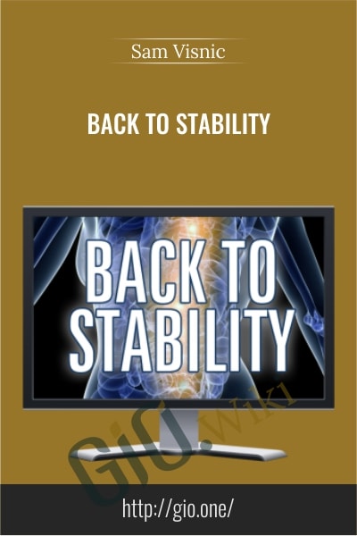 Back To Stability - Sam Visnic