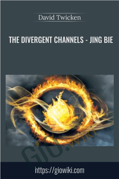 The Divergent Channels: Jing Bie - David Twicken