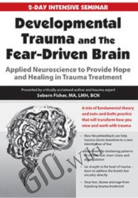 Developmental Trauma and The Fear-Driven Brain: Applied Neuroscience to Provide Hope and Healing in Trauma Treatment - Sebern Fisher