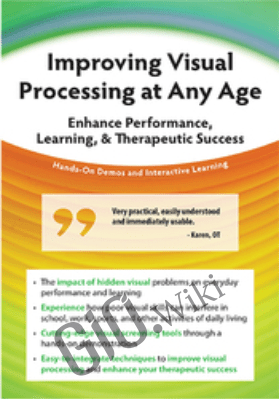 Improving Visual Processing at Any Age: Enhance Performance, Learning, & Therapeutic Success - Cathy Stern