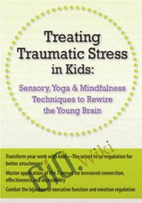 Treating Traumatic Stress in Kids: Sensory, Yoga & Mindfulness Techniques to Rewire the Young Brain - Victoria Grinman