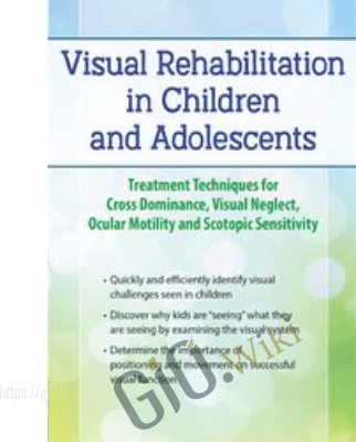Visual Rehabilitation in Children and Adolescents: Treatment Techniques for Cross Dominance, Visual Neglect, Ocular Motility and Scotopic Sensitivity - Scott Berglund