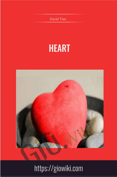 Heart  - David Tian