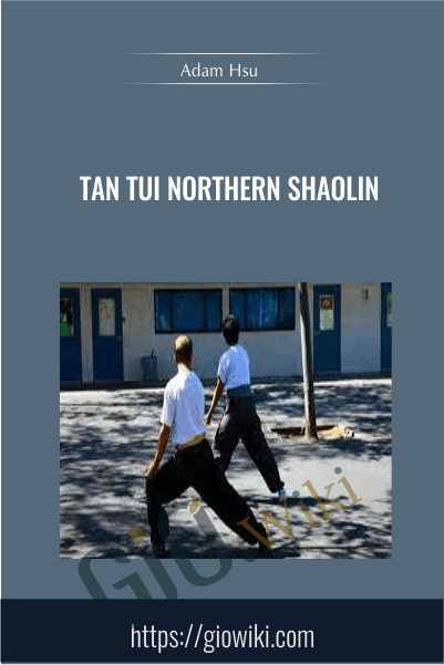 Tan Tui Northern Shaolin - Adam Hsu
