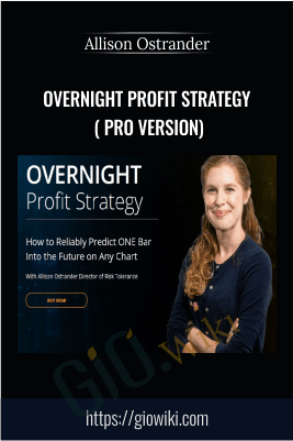 OVERNIGHT Profit Strategy ( Pro Version) – Allison Ostrander