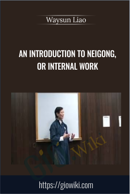 An Introduction to Neigong, or Internal Work - Waysun Liao