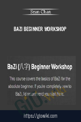 BaZi Beginner Workshop - Sean Chan