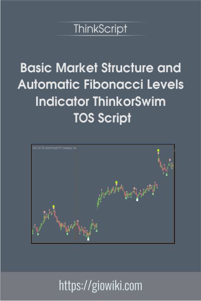 Basic Market Structure and Automatic Fibonacci Levels Indicator ThinkorSwim TOS Script - ThinkScript