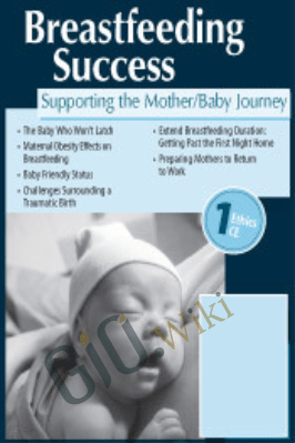 Breastfeeding Success: Supporting the Mother/Baby Journey - Dawn M. Kersula