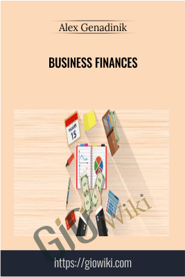 Business finances - Alex Genadinik