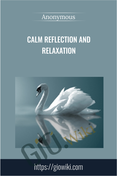 Calm Reflection and Relaxation