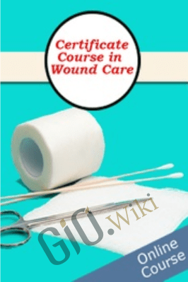 Certificate Course in Wound Care: Intensive Training with Clinical Lab Demonstration - Kim Saunders
