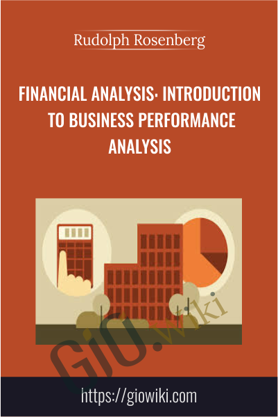 Financial Analysis: Introduction to Business Performance Analysis - Rudolph Rosenberg