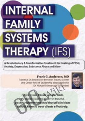 Internal Family Systems Therapy (IFS): A Revolutionary & Transformative Treatment for Permanent Healing of PTSD, Anxiety, Depression, Substance Abuse and More! - Frank G. Anderson