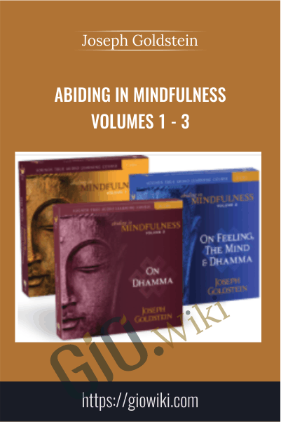 Abiding in Mindfulness Volumes 1 - 3 - Joseph Goldstein
