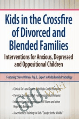 Kids in the Crossfire of Divorced and Blended Families: Interventions for Anxious, Depressed and Oppositional Children - Steve O'Brien