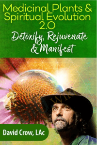 Medicinal Plants & Spiritual Evolution 2.0 - David Crow