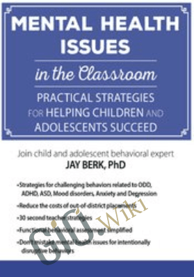 Mental Health Issues in the Classroom: Practical Strategies for Helping Children and Adolescents Succeed - Jay Berk