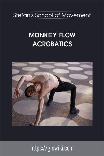 Monkey Flow Acrobatics - Stefan's School of Movement
