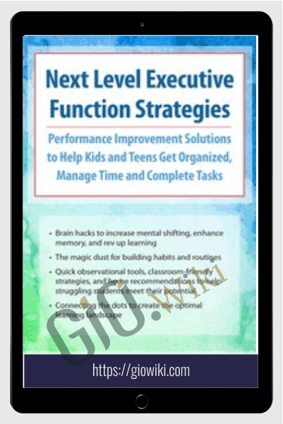 Next Level Executive Function Strategies: Performance Improvement Solutions to Help Kids and Teens Get Organized, Manage Time and Complete Tasks - Nicole R. Quint