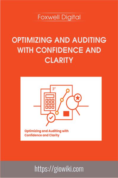 Optimizing and Auditing With Confidence and Clarity - Foxwell Digital