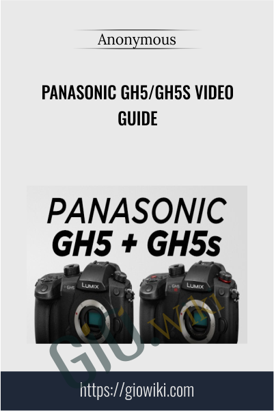 Panasonic GH5/GH5s Video Guide