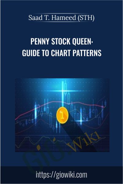 Penny Stock Queen: Beginner Guide to Chart Patterns - Saad T. Hameed (STH)
