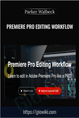 Premiere Pro Editing Workflow - Parker Walbeck