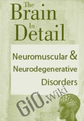 The Brain in Detail: Neuromuscular & Neurodegenerative Disorders - SEAN G. SMITH & BONITA GORDON