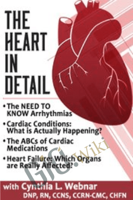 The Heart in Detail - Cynthia L. Webner