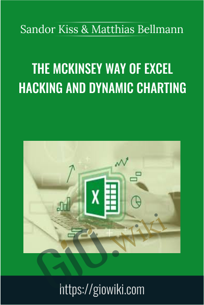 The McKinsey Way Of Excel Hacking and Dynamic Charting - Sandor Kiss & Matthias Bellmann