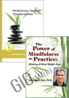 The Power of Mindfulness as Practice + Mindfulness, Healing and Transformation - Join Jon Kabat-Zinn