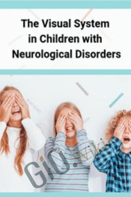 The Visual System in Children with Neurological Disorders - April Christopherson & Others