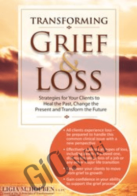 Transforming Grief & Loss: Strategies for Your Clients to Heal the Past, Change the Present and Transform the Future - Ligia M Houben