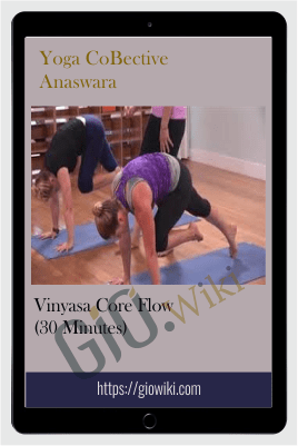 Vinyasa Core Flow (30 Minutes) – Yoga CoBective – Anaswara