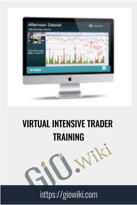 Virtual Intensive Trader Training