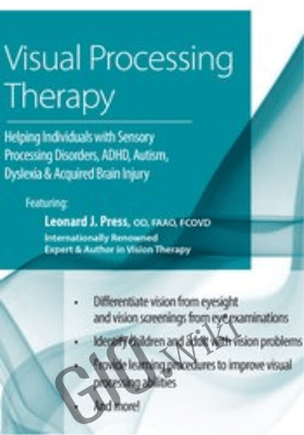 Visual Processing Therapy: Helping Individuals with Sensory Processing Disorders, ADHD, Autism, Dyslexia and Acquired Brain Injury - Leonard Press