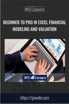 Beginner to Pro in Excel Financial Modeling and Valuation - 365 Careers