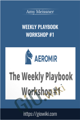 Weekly Playbook Workshop #1 – Amy Meissner
