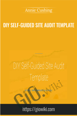 DIY Self-Guided Site Audit Template - Annie Cushing