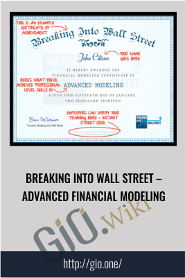Breaking Into Wall Street – Advanced Financial Modeling