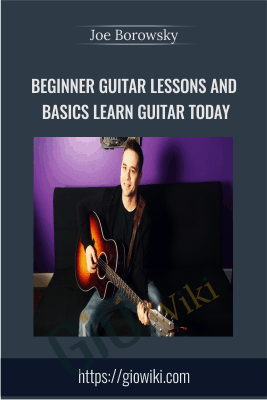 Beginner Guitar Lessons and Basics: Learn Guitar Today - Joe Borowsky
