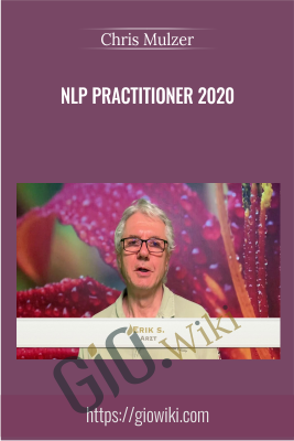 NLP Practitioner 2020 - Chris Mulzer