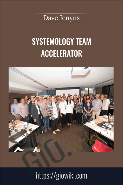 Systemology Team Accelerator – Dave Jenyns