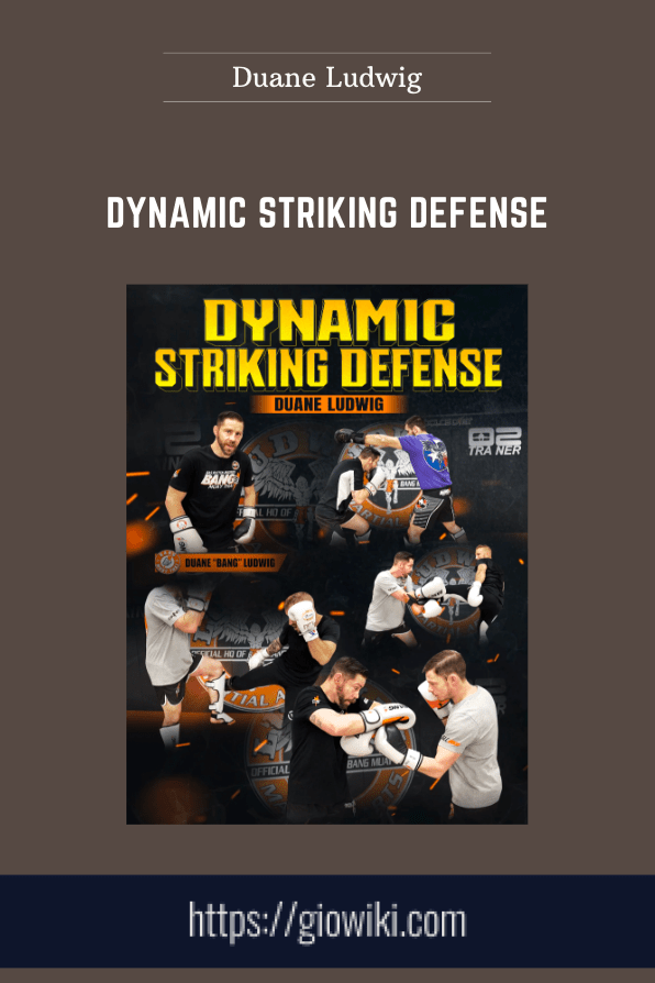 Dynamic Striking Defense - Duane Ludwig