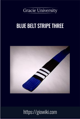 Blue Belt Stripe Three - Gracie University