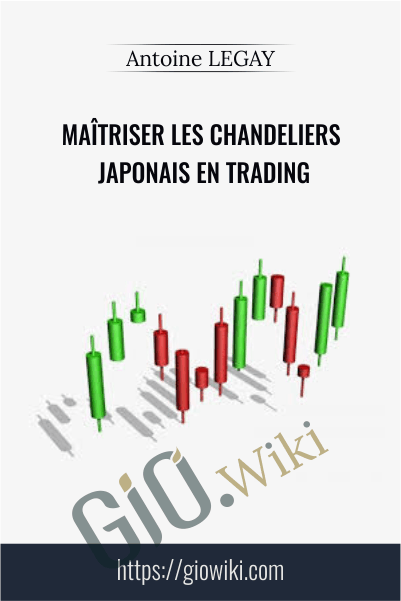 Maîtriser les chandeliers japonais en trading - Antoine LEGAY