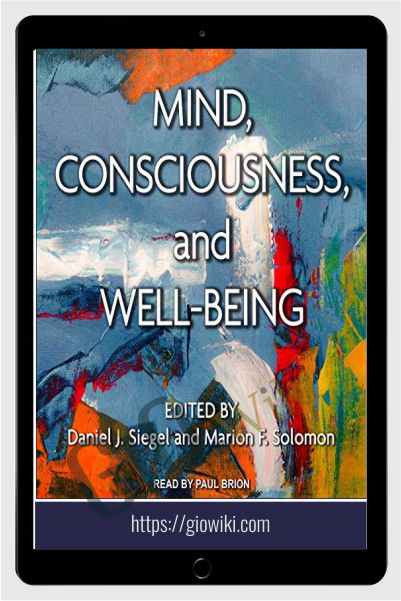 Mind, Consciousness, and Well-Being - Daniel J. Siegel & Marion F. Solomon